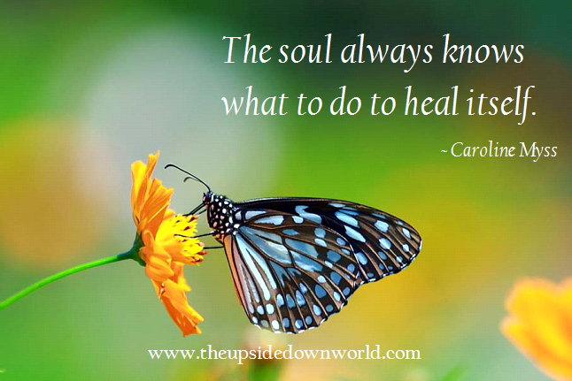 11951336_916234591777369_7124204057697889204_n