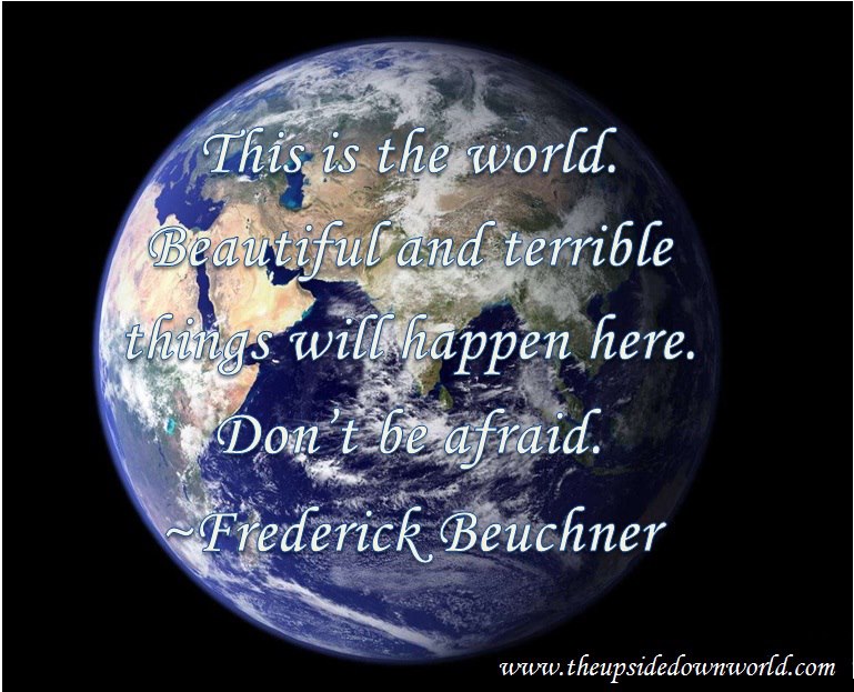 1227_461135483953951_944830712_n